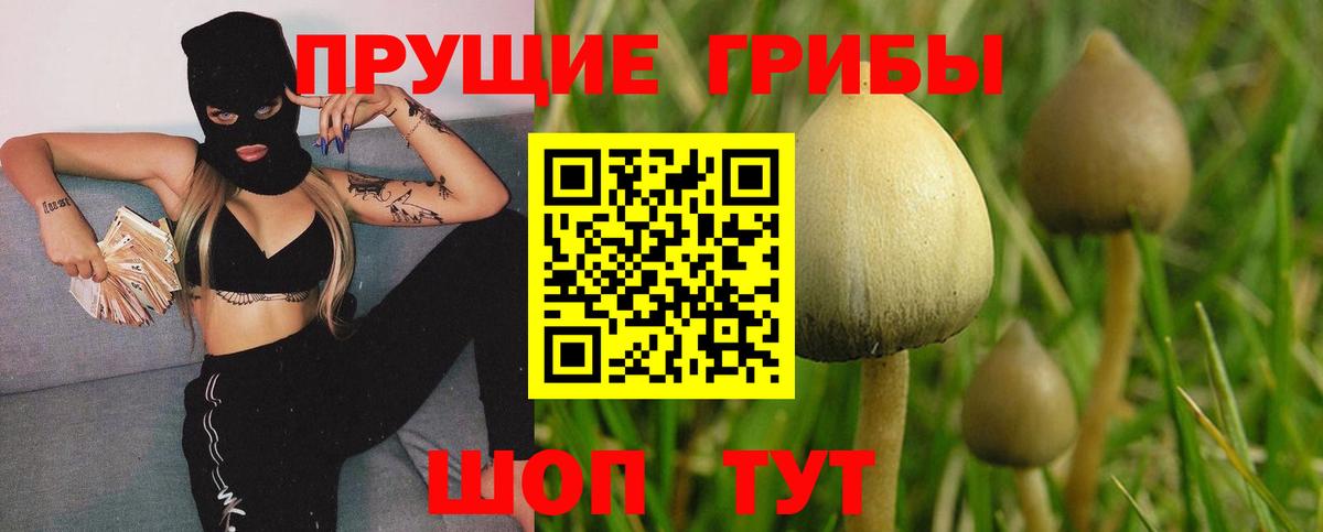 Галлюциногенные грибы мицелий Ахтубинск