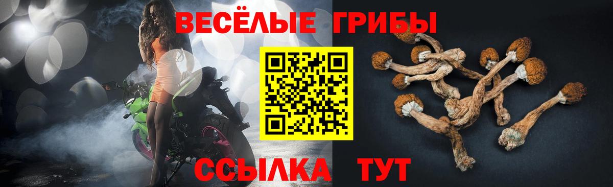 хочу   Псилоцибиновые грибы Psilocybe  Вход с VPN  Галлюциногенные грибы MAGIC MUSHROOMS  Ахтубинск 
